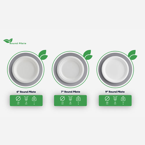 10 Inch Round Plate (19 gram)